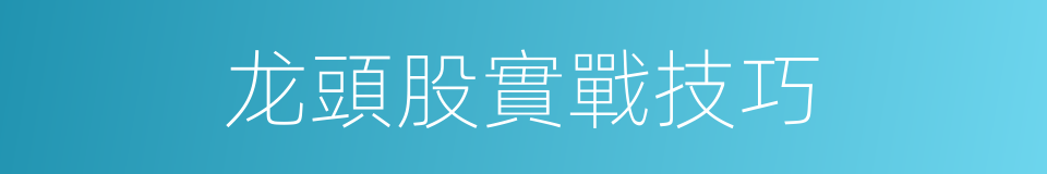 龙頭股實戰技巧的同義詞