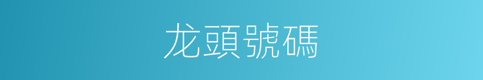 龙頭號碼的同義詞