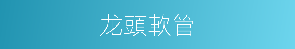 龙頭軟管的同義詞