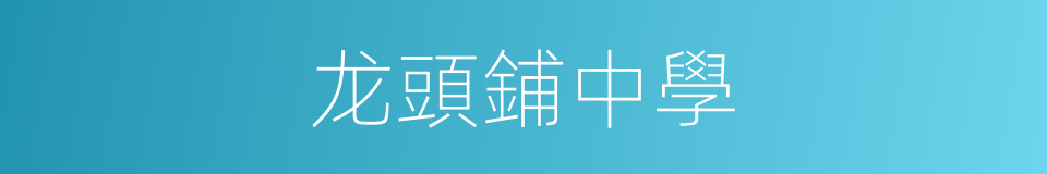 龙頭鋪中學的同義詞