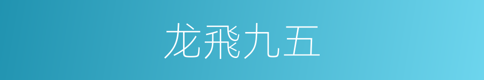 龙飛九五的同義詞
