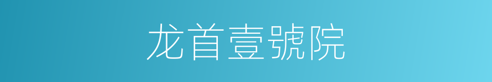 龙首壹號院的同義詞