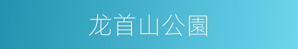 龙首山公園的同義詞