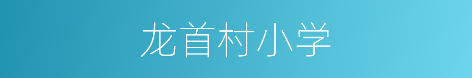 龙首村小学的同义词