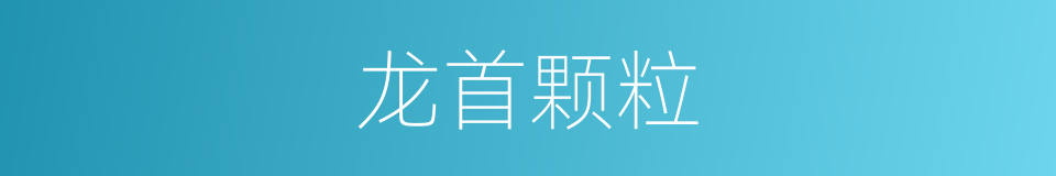 龙首颗粒的同义词