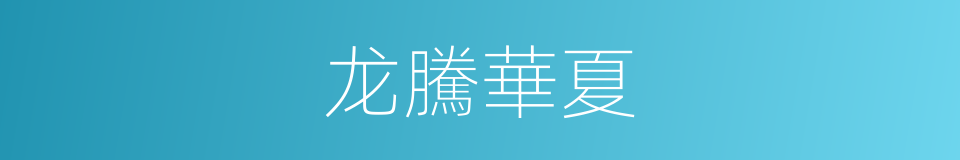 龙騰華夏的同義詞