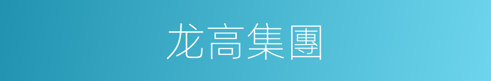 龙高集團的同義詞