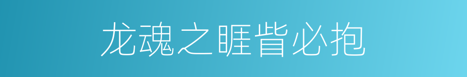 龙魂之睚眥必抱的同義詞