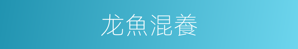 龙魚混養的同義詞