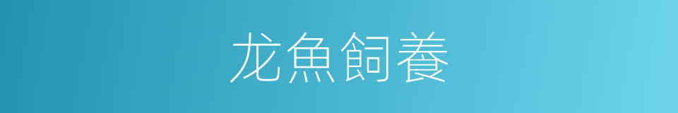 龙魚飼養的同義詞