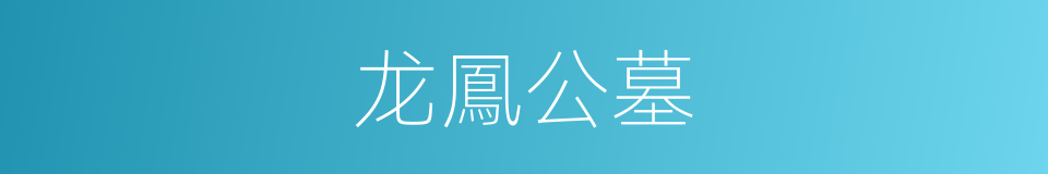 龙鳳公墓的同義詞