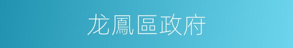 龙鳳區政府的同義詞