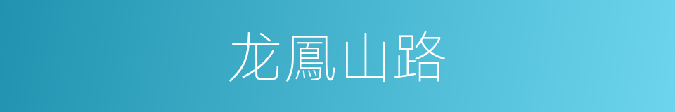 龙鳳山路的同義詞