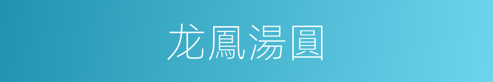 龙鳳湯圓的同義詞