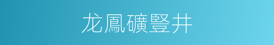 龙鳳礦豎井的同義詞