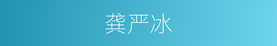 龚严冰的同义词