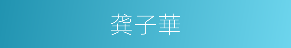 龚子華的同義詞