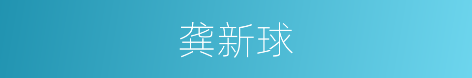 龚新球的同义词