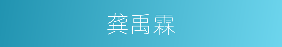 龚禹霖的同义词