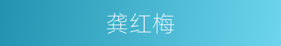 龚红梅的同义词