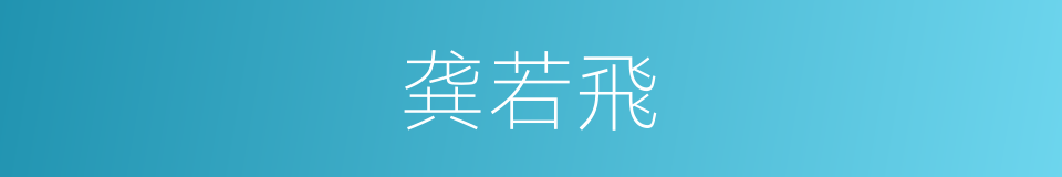 龚若飛的同義詞