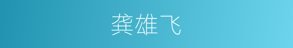 龚雄飞的同义词
