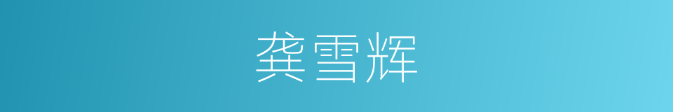 龚雪辉的同义词