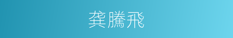 龚騰飛的同義詞