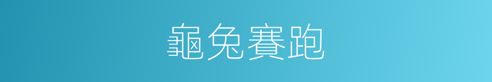 龜兔賽跑的同義詞