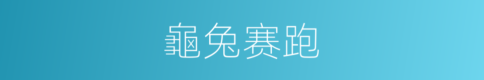 龜兔赛跑的同义词