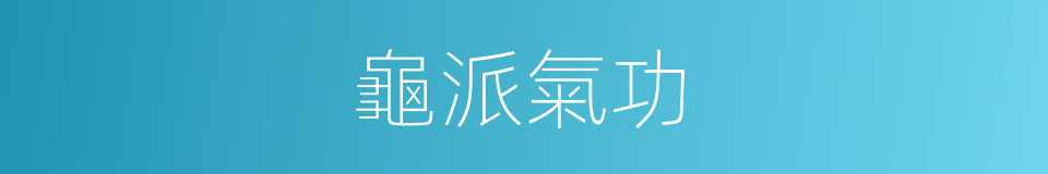 龜派氣功的同義詞