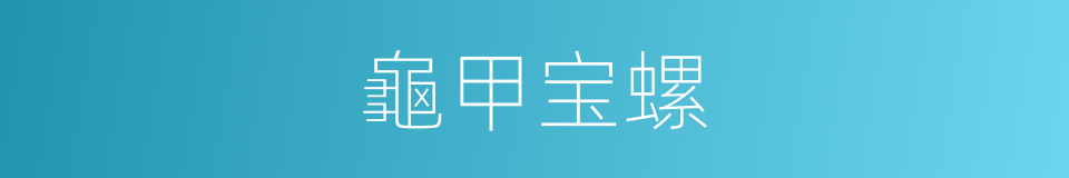 龜甲宝螺的同义词