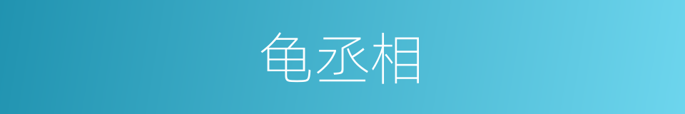 龟丞相的同义词