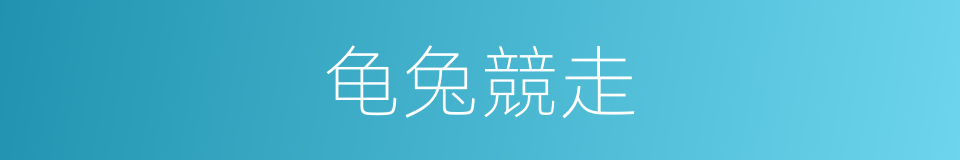 龟兔競走的同義詞