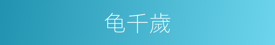 龟千歲的同義詞