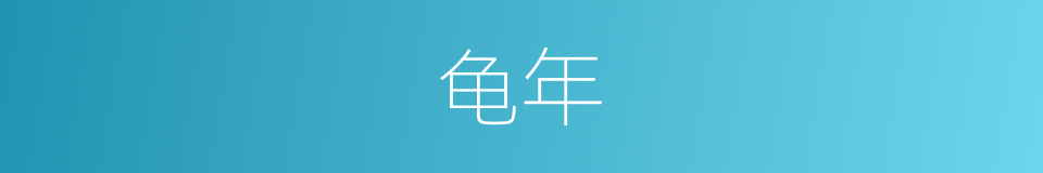 龟年的意思