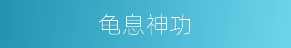 龟息神功的同义词