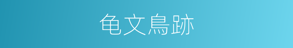 龟文鳥跡的意思
