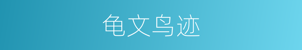 龟文鸟迹的意思