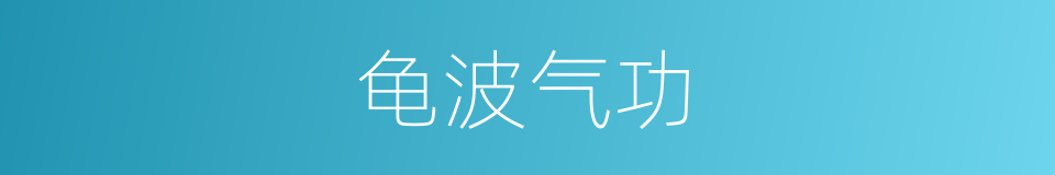 龟波气功的同义词