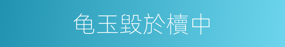 龟玉毀於櫝中的同義詞