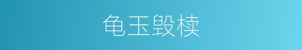 龟玉毁椟的意思