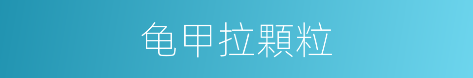龟甲拉顆粒的同義詞
