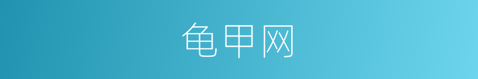 龟甲网的同义词