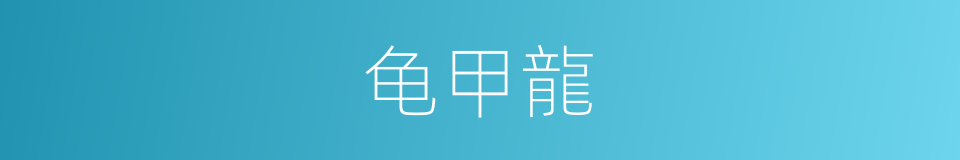 龟甲龍的同義詞