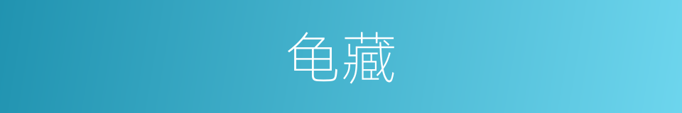 龟藏的意思