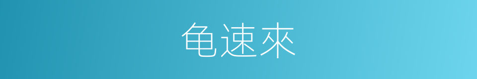 龟速來的同義詞