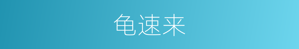 龟速来的同义词