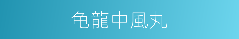 龟龍中風丸的同義詞
