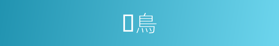 𪄴鳥的同義詞